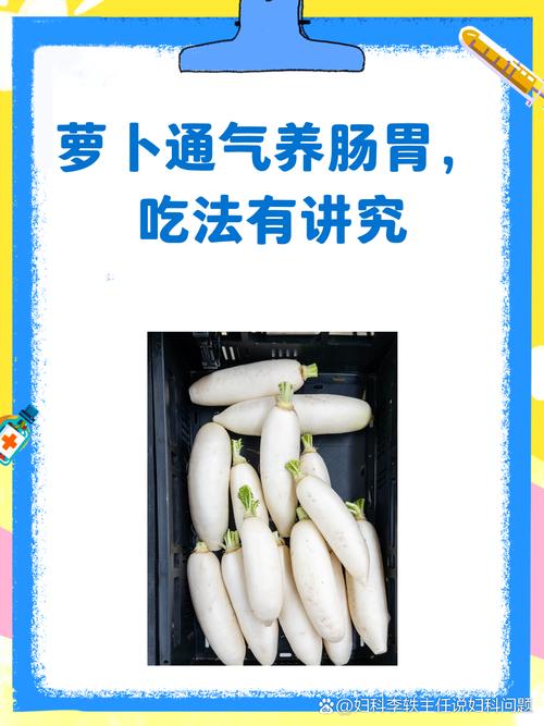 常吃萝卜能扫净肠胃里的脏东西吗？
