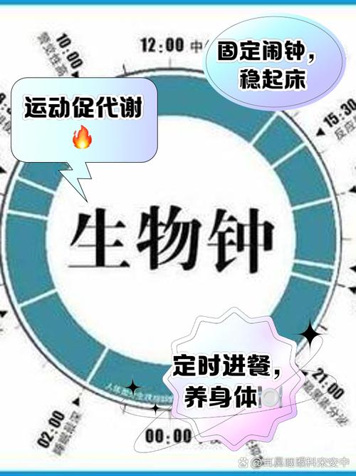如何调整生物钟以实现最佳的减肥效果？