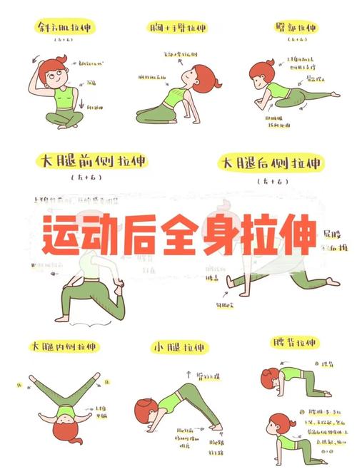 在健身房做拉伸运动时需要注意哪些关键事项？