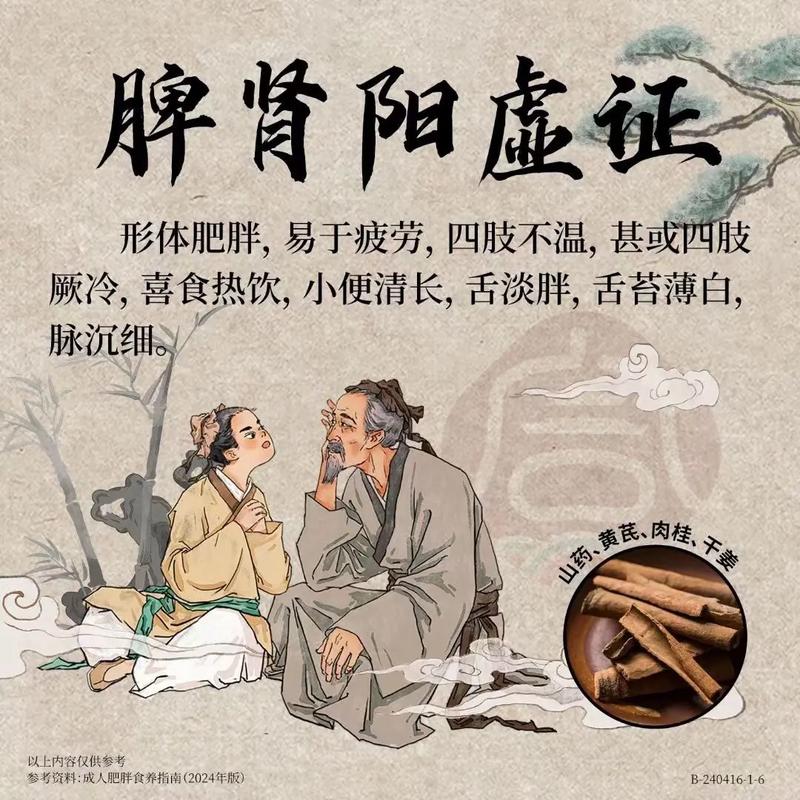 如何运用中医疗法9招有效应对不同类型的肥胖问题？