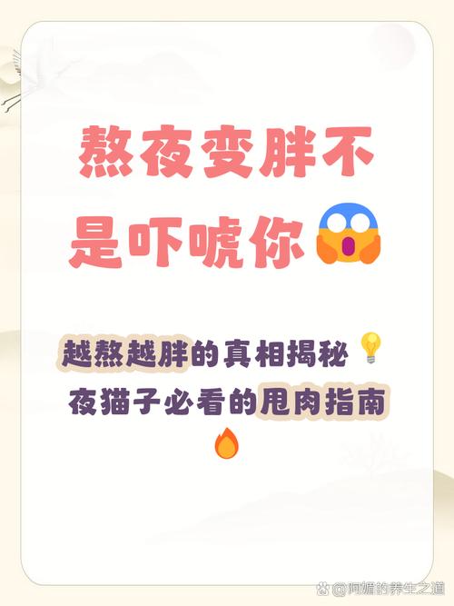 为什么经常熬夜、久坐不动、饮食无规律会导致我容易变胖？