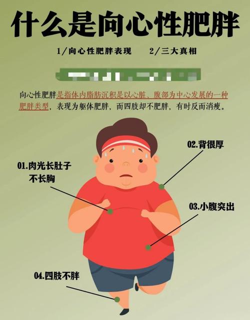 女性经常食用冷食会导致小腹脂肪堆积吗？