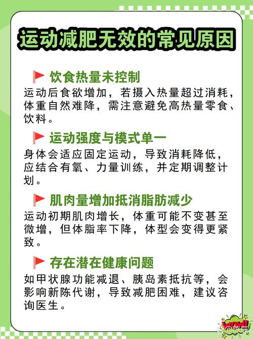 为什么减肥这么久体重却纹丝不动，是不是忽略了这些关键因素？