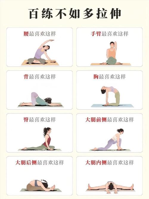 伸展运动有哪些显著好处？