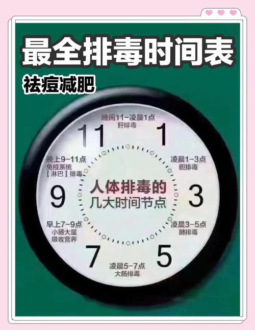 每周吃素两天真的嫩减肥排毒又美肤吗？