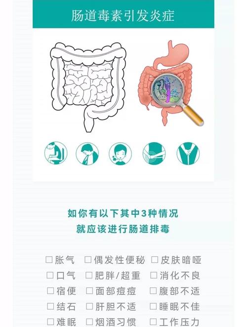 如何通过活性菌净化肠胃达到减肥美容养颜的效果？