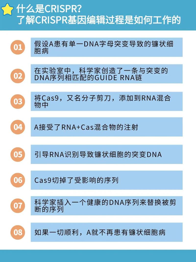 如何通过基因编辑技术改变导致肥胖的遗传基因？
