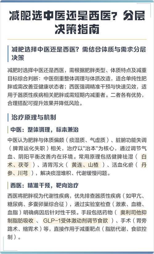 中医和西医饮食减肥观点有何不同？哪种方法更适合我？