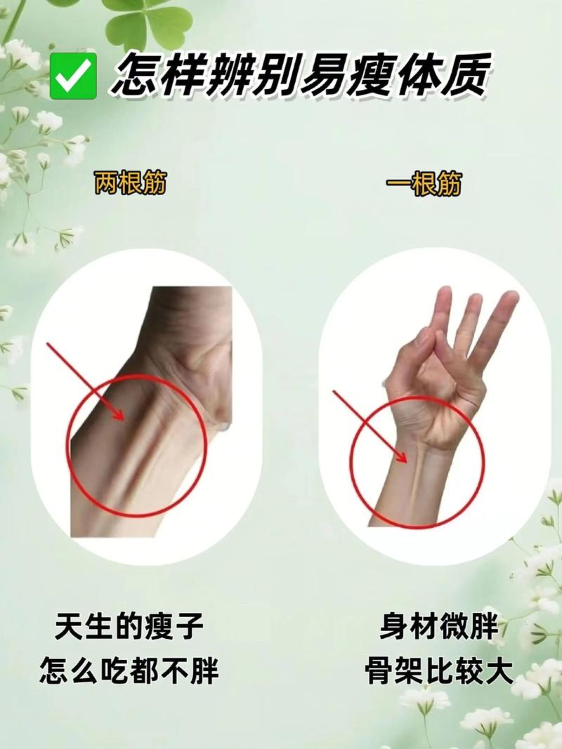 如何通过两招快速将易胖体质转变为易瘦体质？