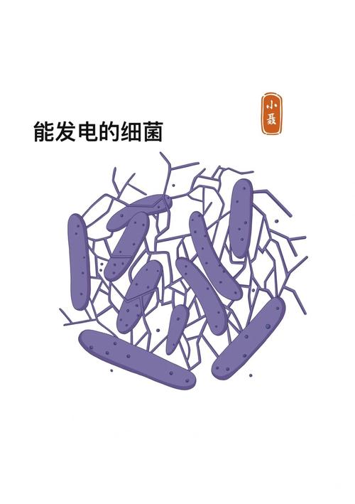 肠道内有多少种细菌，长度相当于7米，占人体重量的90%？