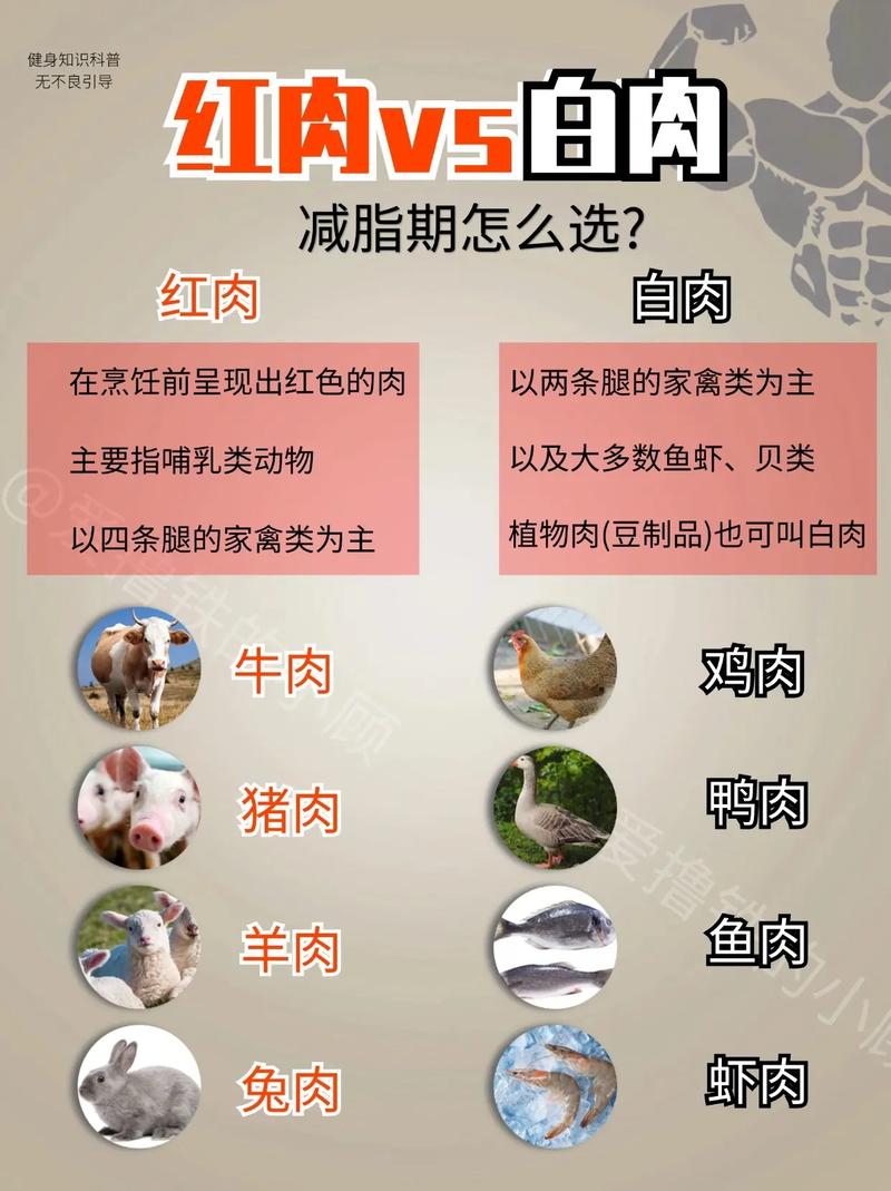 如何挑选并正确食用肉类，帮助减肥者健康减脂？