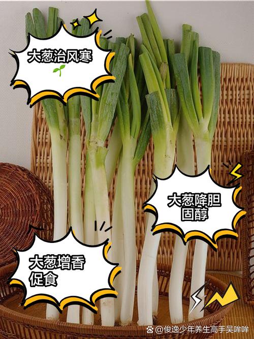 葱真的能帮助促进脂肪分解，实现减肥效果吗？