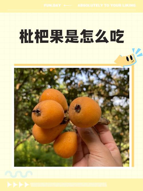 枇杷果减肥应该怎么吃？两种不同的吃法分别是什么？