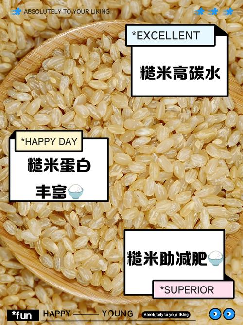 糙米饱腹感强，适合减肥人群食用吗？