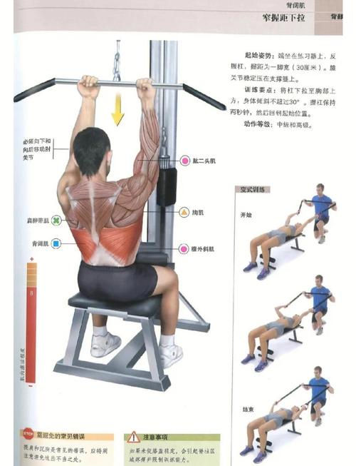 如何通过15分钟锻炼快速塑造迷人锁骨和背部线条？