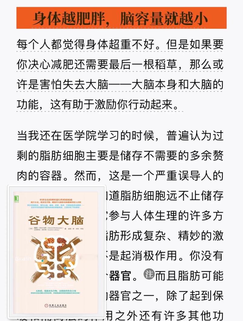 大脑与肥胖之间是否存在某种神秘的联系？
