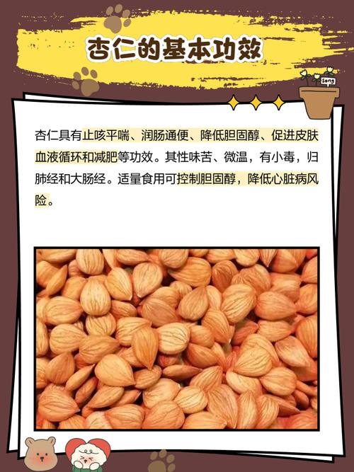 吃杏仁能控制食欲吗？这是减肥瘦身最有效的方法吗？