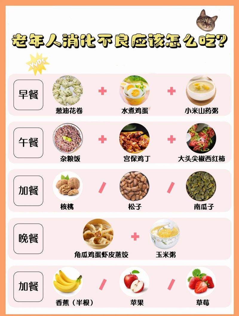 如何根据消化吸收时间合理安排饮食以优化营养吸收？