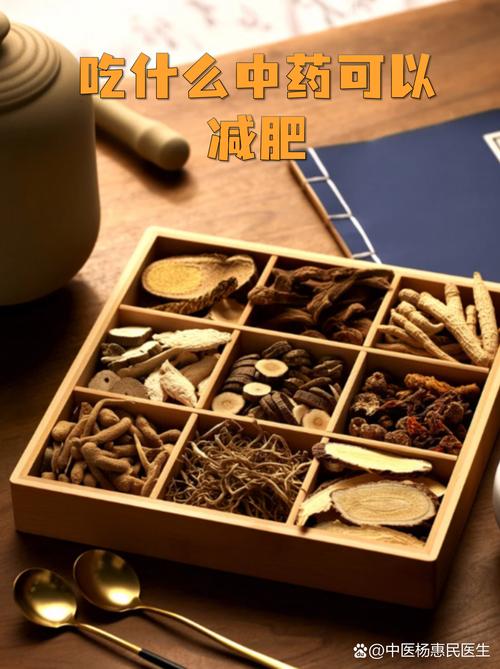 为什么减肥时不能乱用中医药材，小心适得其反？