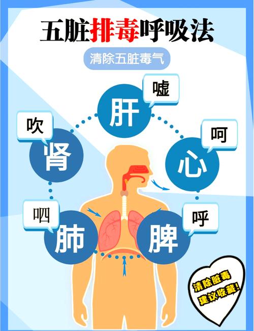 如何通过多呼吸实现排毒瘦身效果？