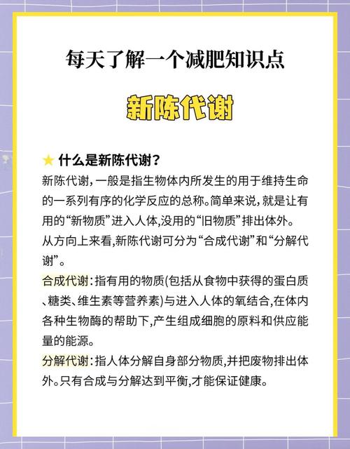 如何通过提升新陈代谢实现高效减肥？