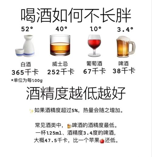 如何喝酒不增肥？掌握这些技巧让你轻松应对！