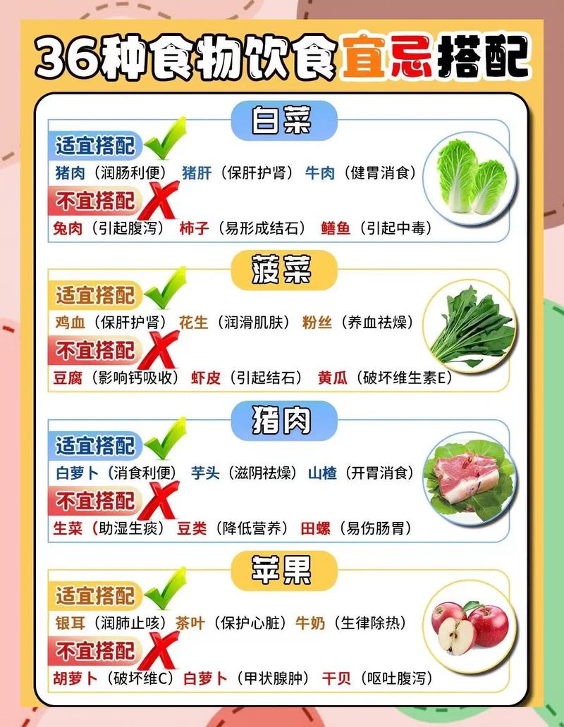 如何通过食物搭配让营养摄入加倍提升？
