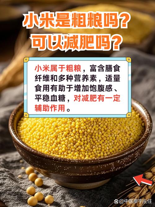 小米粒中究竟蕴含着怎样的瘦身秘密？