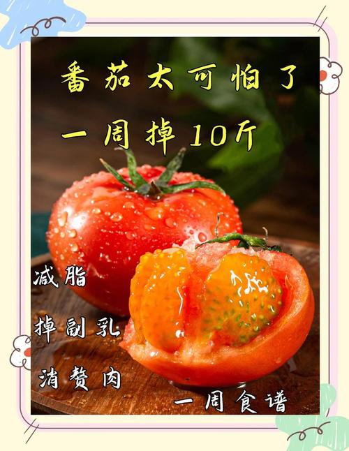 番茄减肥法真的能帮我轻松变瘦吗？