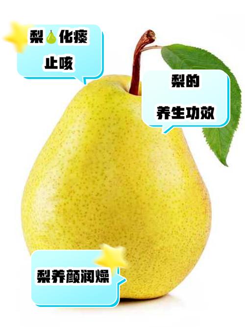 饭前吃梨真的能保苗条吗？