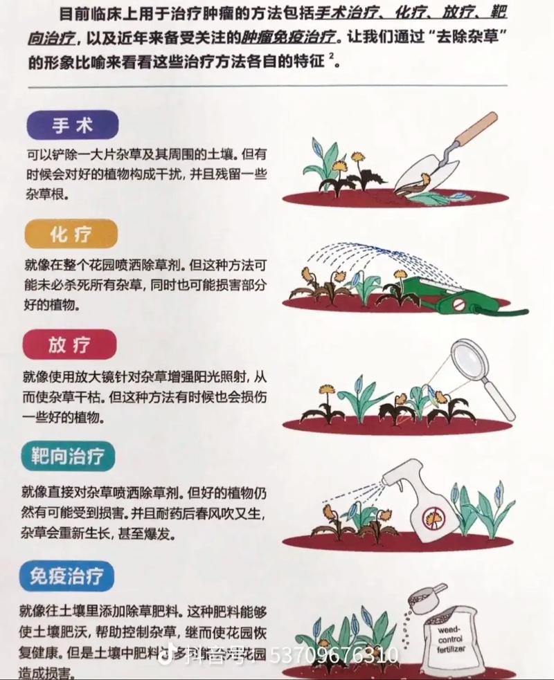 肿瘤专家30年经验有哪些关键语句能指导娱乐？