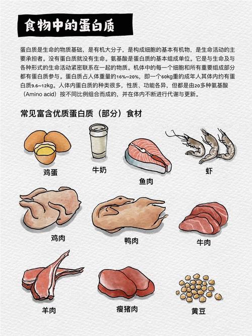 营养素究竟都藏在哪些食物中呢？