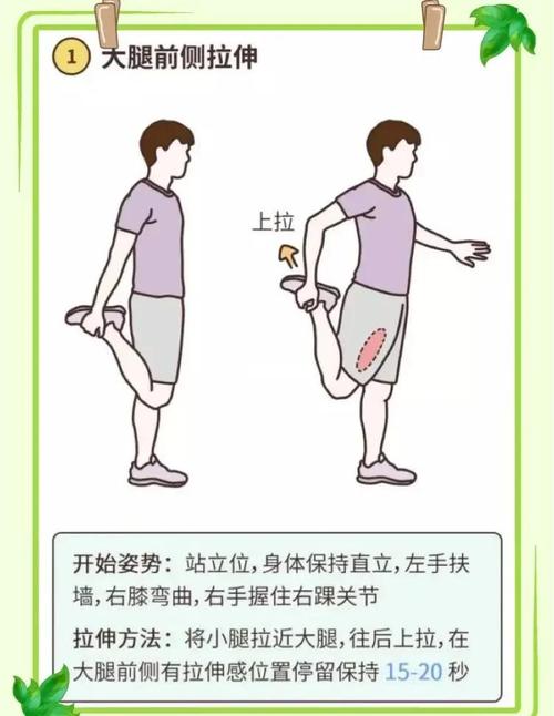 运动前后进行伸展运动是否真的有必要呢？