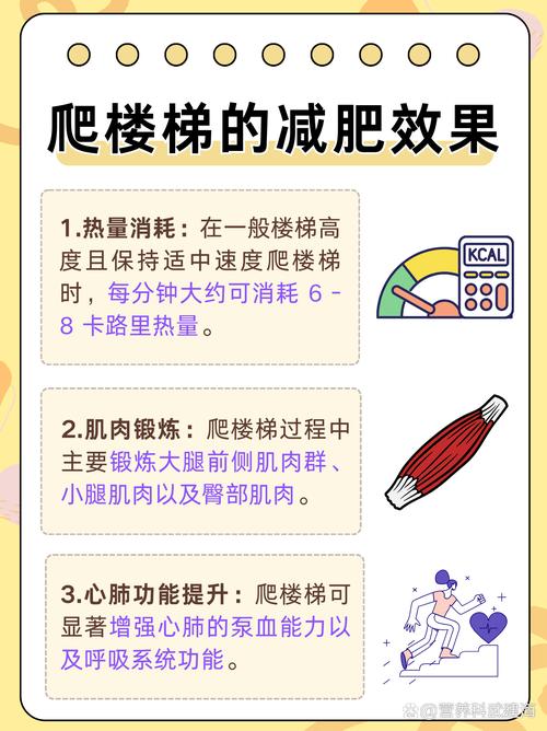 逐级爬楼梯真的比其他运动燃脂效果更佳吗？