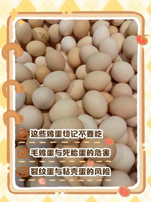 为什么吃鸡蛋后不容易感到饿呢？
