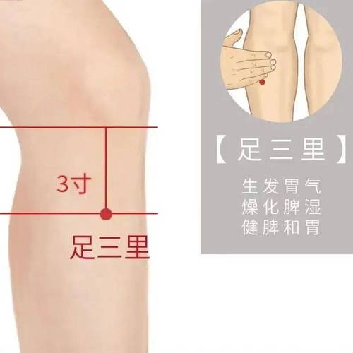 如何通过按摩这8大减肥穴位轻松享瘦？