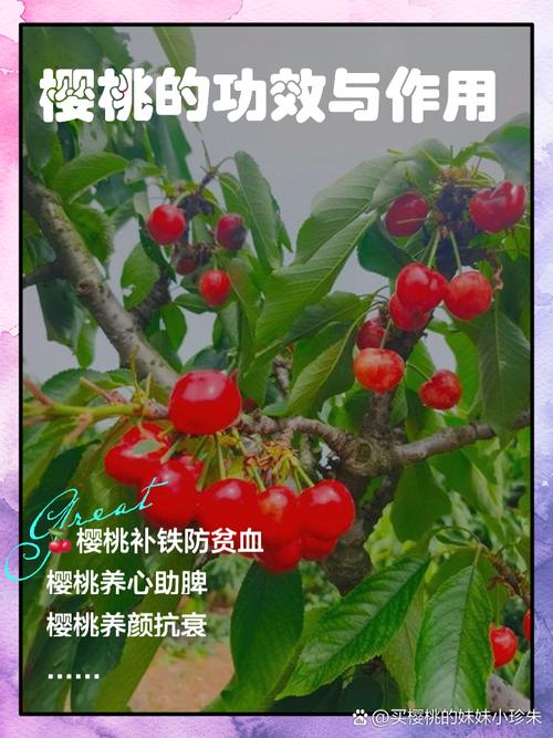 吃樱桃真的能帮助瘦肚子和减肥吗？