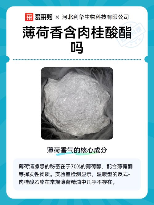 薄荷肉桂果香，这7种气味真的能有效促进健康吗？