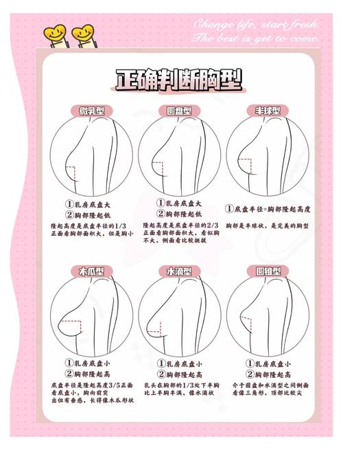 我的胸部尺寸是否与我的体型相匹配？