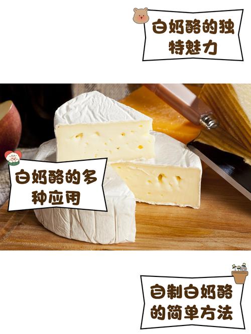 睡前吃白奶酪真的不会发胖，还能帮助减脂吗？