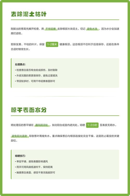 如何正确存放大葱以延长其保鲜期？
