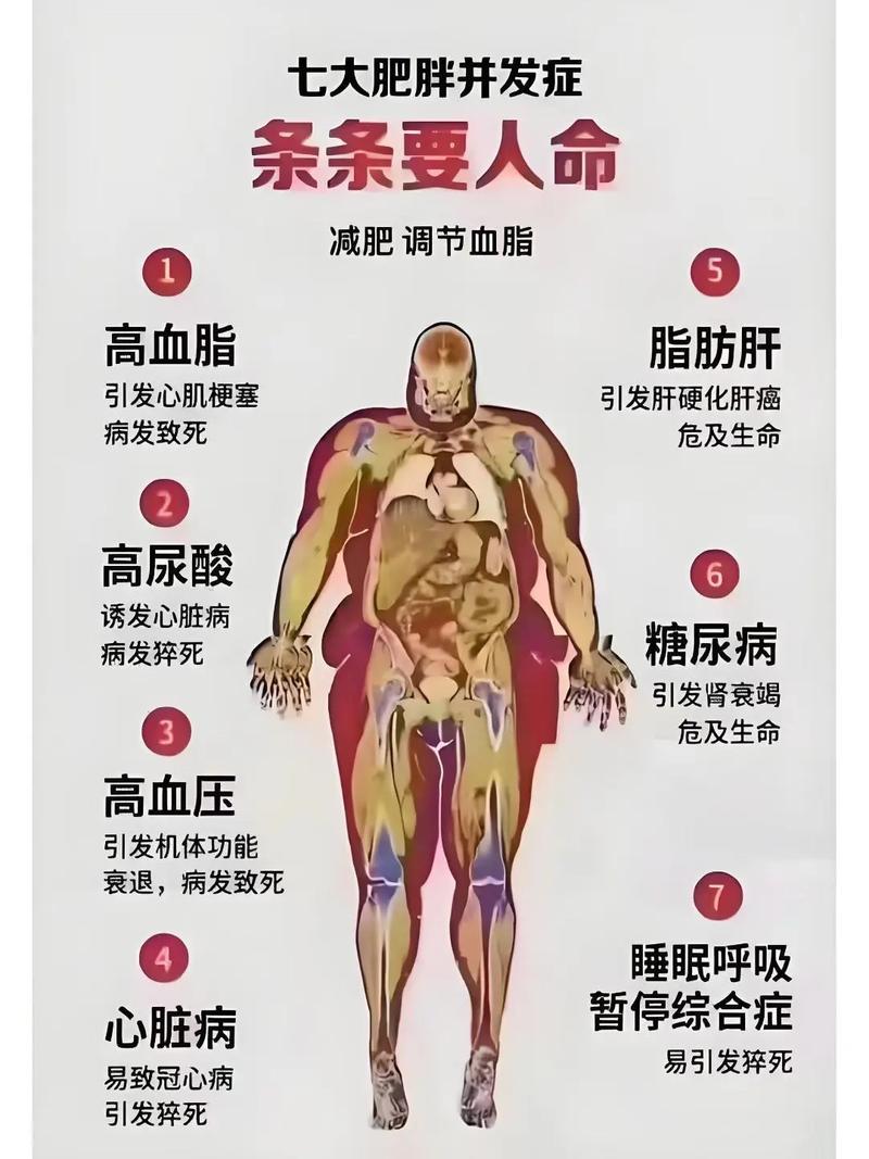 为什么说有些脂肪对塑身有益，我们真的不需要纠结热量摄入了吗？