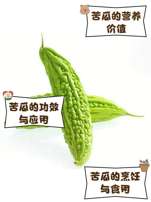 苦瓜减肥产品含有违禁物，减肥安全吗？自毁健康的风险大不大？