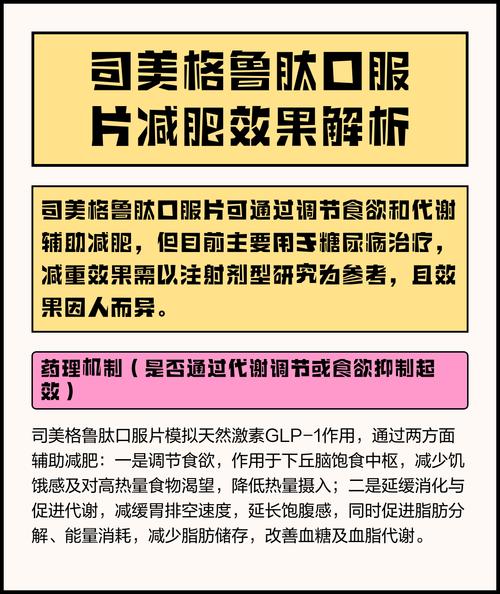 减肥西药是如何通过调节人体代谢和食欲来达到减重的？