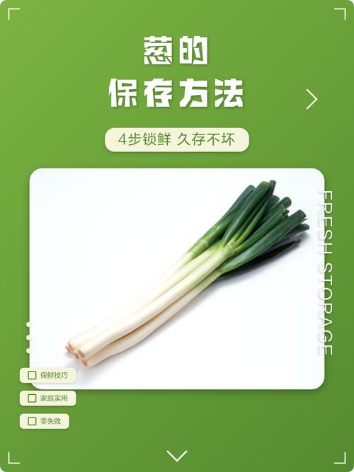 如何正确存放大葱以延长其保鲜期？