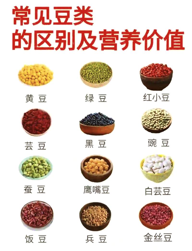 豆类食品能替代实现健康减肥吗？
