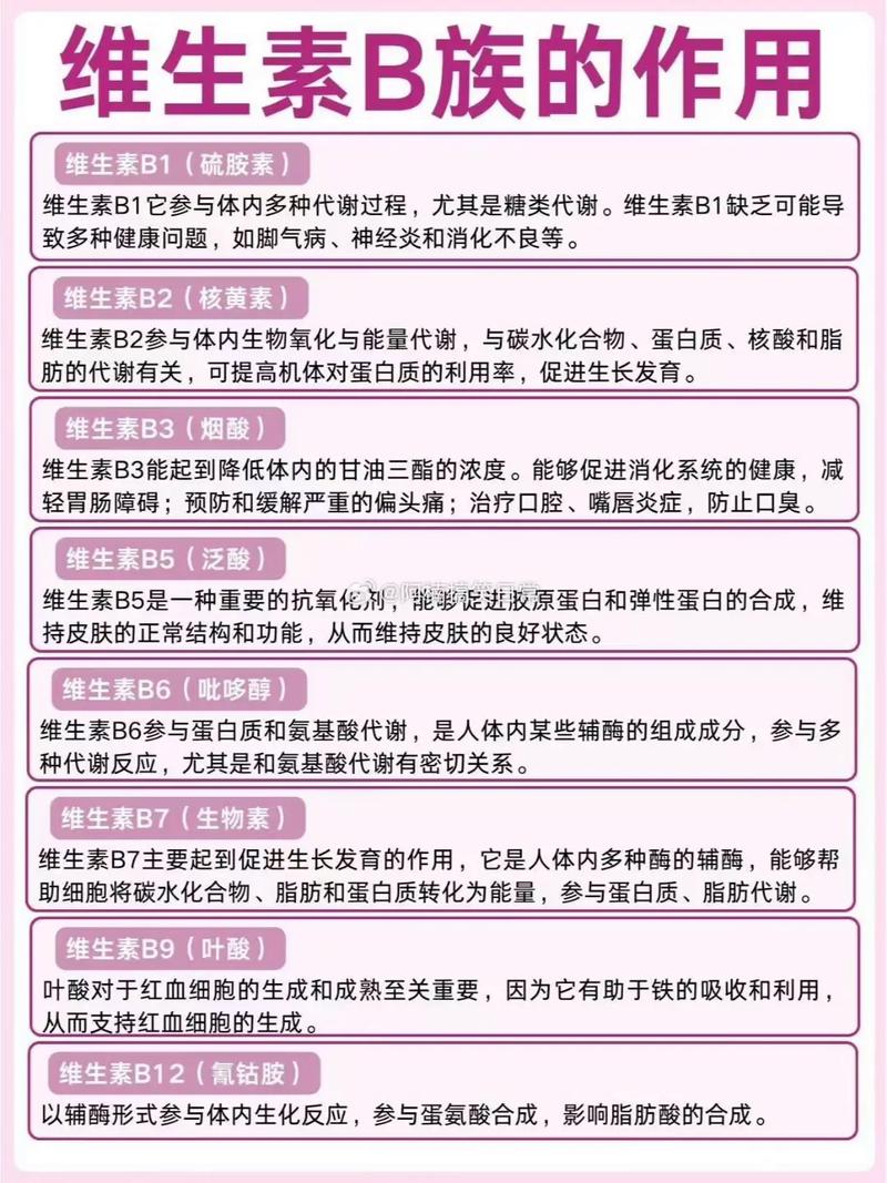 减肥期间应该额外补充哪种维他命B2对健康更有益呢？