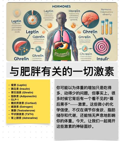 如何通过科学方法应对肥胖，针对六大激素的影响？