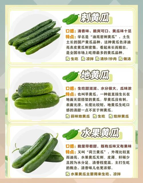 黄瓜真的能成为顶级天然护肤品吗？盘点5大廉价护肤圣品有哪些？