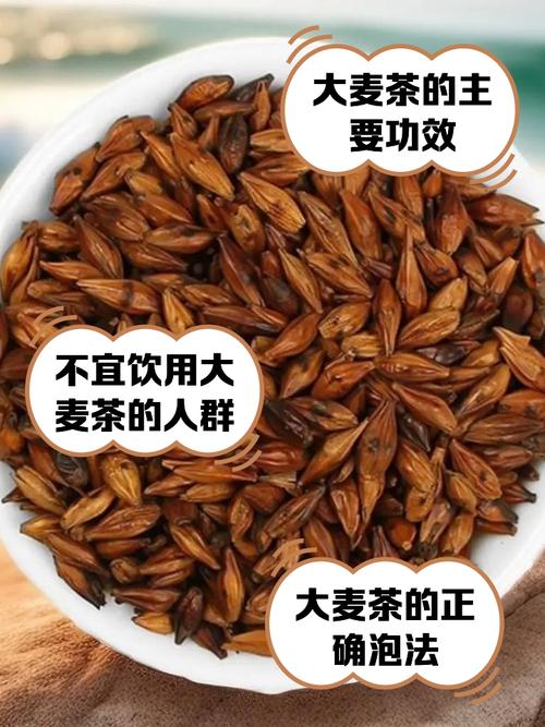 长期喝大麦茶真的能帮助减肥吗？